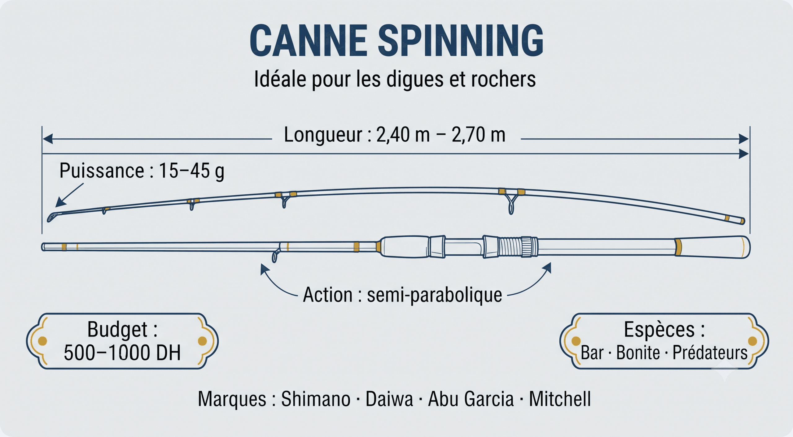 Canne spinning technique — dimensions et caractéristiques