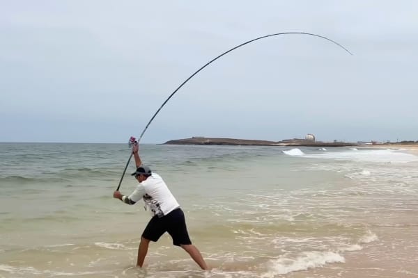 Surfcasting