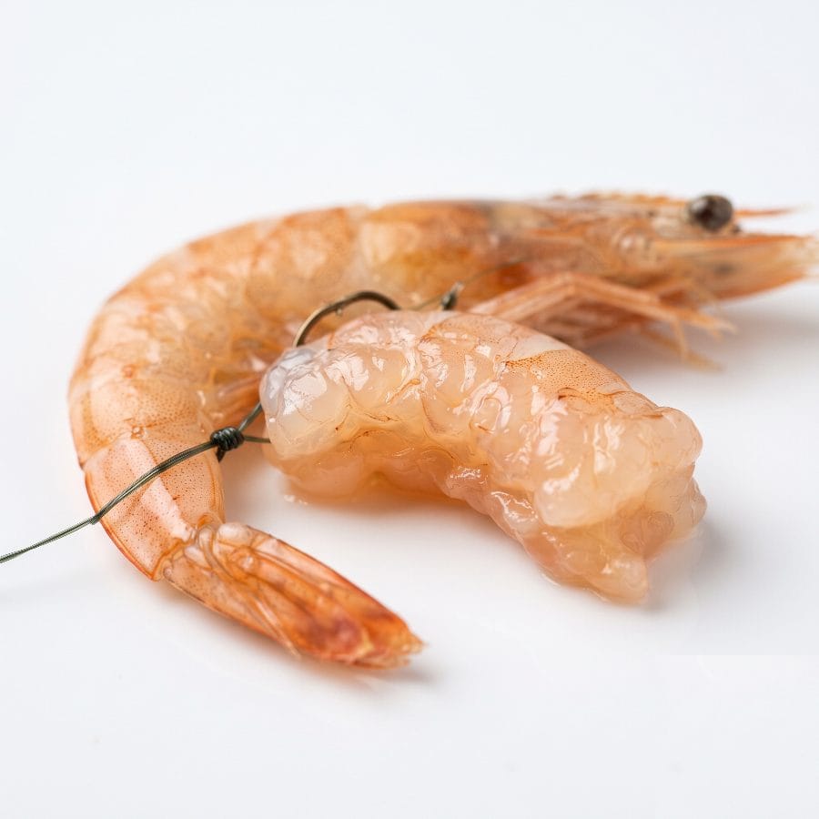 Crevette / Gambas