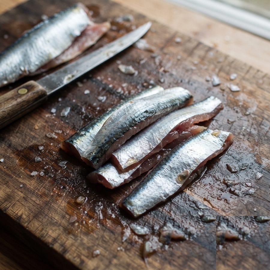 Sardine / Maquereau