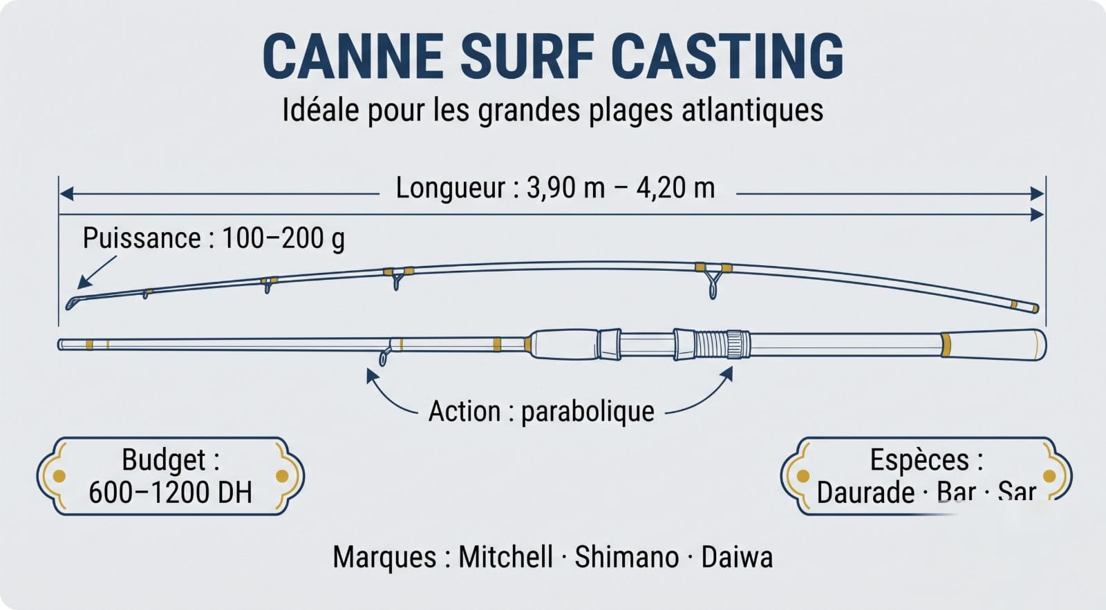 Canne surf casting technique — dimensions et caractéristiques