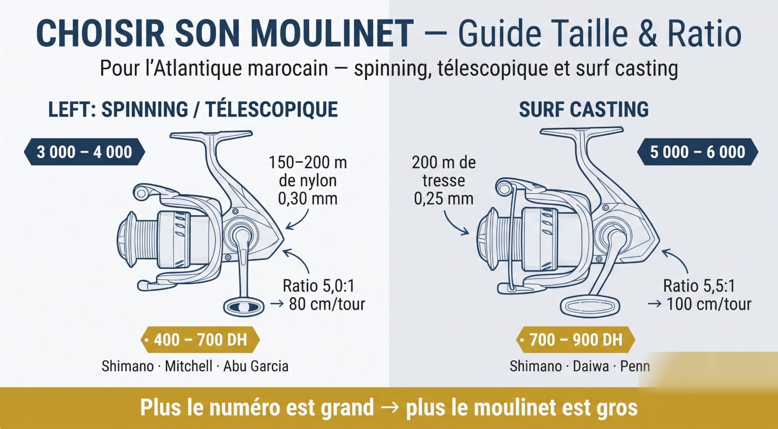 Guide choisir moulinet pêche Atlantique marocain — taille et ratio