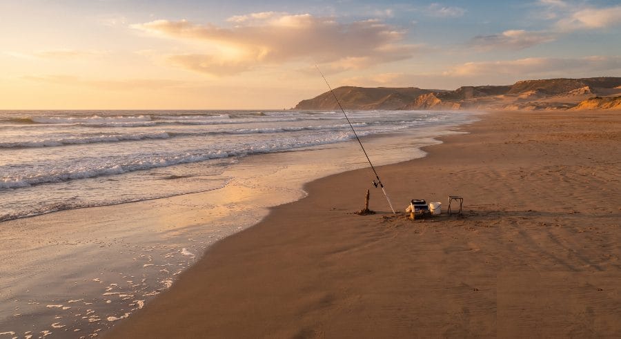 Plages de sable surfcasting