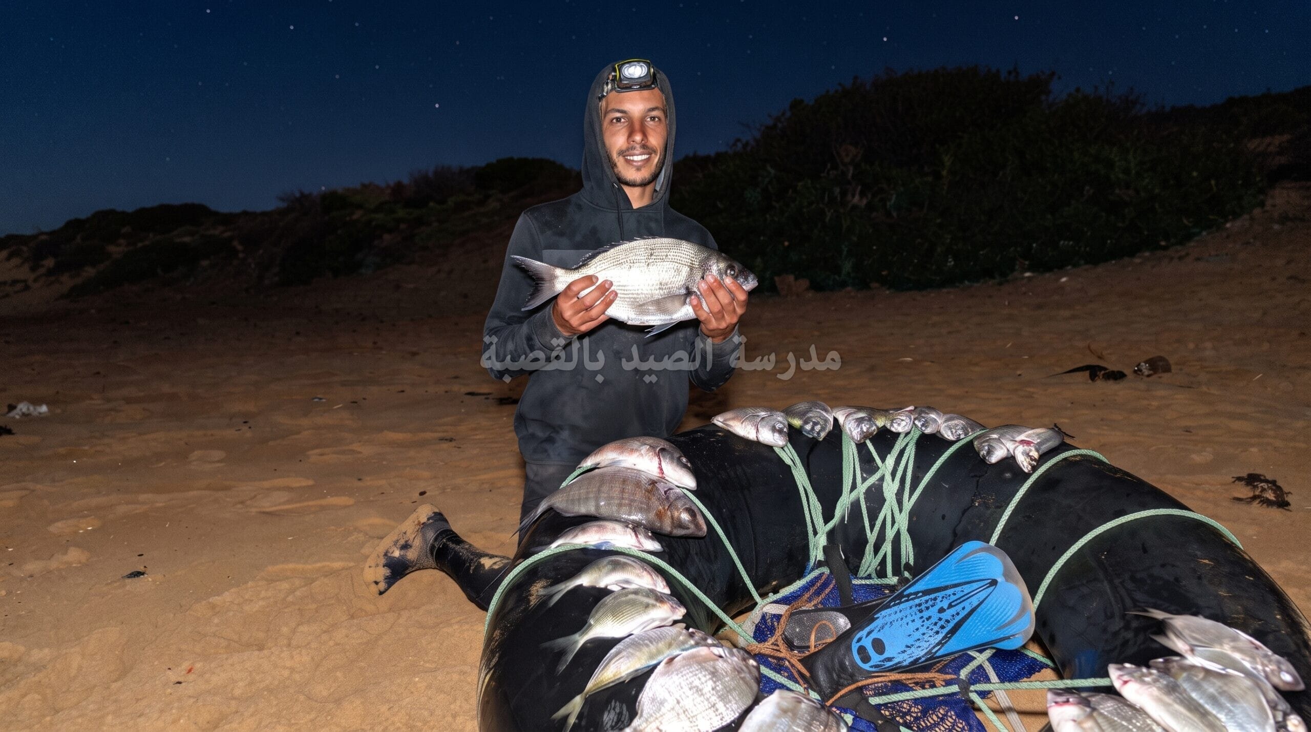 صورة 3